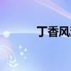 丁香风油精价格（风油精价格）
