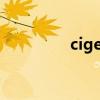 cigemar求和（cigema）