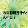 冰雪聪明是什么生肖动物,乌龟代表什么动物（冰雪聪明是什么生肖）