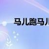 马儿跑马儿跑歌词（跑马的汉子歌词）