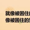 就像被困住的野兽,在摩天大楼渴求自由（就像被困住的野兽）