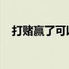 打赌赢了可以要求对方做什么惩罚的作文