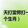 天打雷劈打一个生肖打一生肖（天打雷劈打一个生肖）