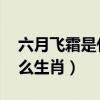 六月飞霜是什么生肖,破成语（六月飞霜是什么生肖）