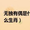 无独有偶是什么生肖百度查查（无独有偶是什么生肖）