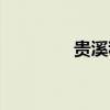 贵溪租房月租（贵溪租房）