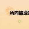 所向披靡歌词 改编（所向披靡歌词）