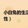小白兔的生活特征以及喜好（小白兔的生活习性）