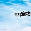 qq宠物猪猪主题曲（qq宠物猪）
