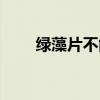 绿藻片不能和什么一起吃（绿藻片）