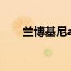 兰博基尼alcantara（兰博基尼alar）