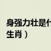 身强力壮是什么生肖打一肖（身强力壮是什么生肖）