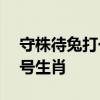 守株待兔打一生肖是什么动物2021年十月=号生肖