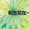 和兰花在一起钢琴曲（和兰花在一起）