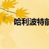 哈利波特前传有几部（哈利波特前传）