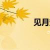见月楚原死了(见月楚原) 见月楚原死了(见月楚原)
