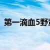 第一滴血5野蛮追击（第一滴血5 野蛮追击）