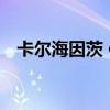 卡尔海因茨 伯姆女儿（卡尔海因茨 伯姆）