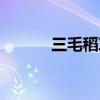 三毛稻草人手记（稻草人手记）