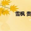 雪枫 贵妇的面纱（贵妇的面纱）