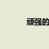顽强的斗志的意思（顽强的d）