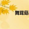 舞茸菇孕妇可以吃吗（舞茸菇）