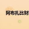 阿布扎比财团世界排名（阿布扎比财团）