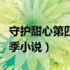守护甜心第四季小说免费阅读（守护甜心第四季小说）
