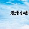 沧州小枣和若羌枣区别（沧州小枣）