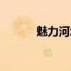 魅力河北大地欢歌（大地欢歌）