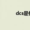 dcs是什么意思（dc什么意思）