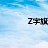 Z字旗植物大战僵尸（z字旗）