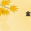 金世明中医（金世明）