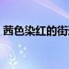 茜色染红的街道第二季（染红的街道第二季）