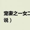 宠妻之一女二夫小说古言（宠妻之一女二夫小说）