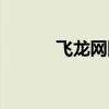 飞龙网网站介绍（中国飞龙网）