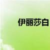 伊丽莎白肖特惨案（伊丽莎白肖特）