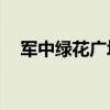 军中绿花广场舞16步（军中绿花广场舞）