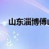 山东淄博傅山企业集团有限公司员工人数