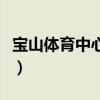 宝山体育中心游泳馆开放时间（宝山体育中心）