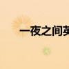 一夜之间英语怎么写（一夜之间英语）
