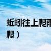 蚯蚓往上爬雨水乱如麻是什么现象（蚯蚓往上爬）