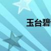 玉台碧讲了什么内容（玉台碧）