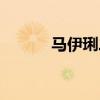 马伊琍二婚老公是谁(马伊琾) 马伊琍二婚老公是谁(马伊琾)