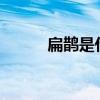扁鹊是什么人?（扁鹊是哪国人）