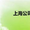上海公司网站（上海公司查询网）