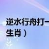 逆水行舟打一动物是什么动物（逆水行舟打一生肖）