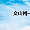 文山州一中初中部（文山州一中）