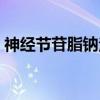 神经节苷脂钠注射剂（神经节苷脂钠注射液）