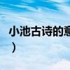 小池古诗的意思翻译一年级（小池古诗的意思）